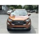 Ford ecosport 1.5AT Titanium 2020 Cam